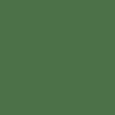 Solid green color swatch
